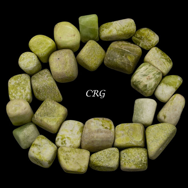 1 LB. LOT - Tumbled Serpentine Pakistan - Crystal River Gems