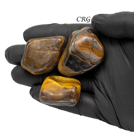 1 PIECE - Gold Tigers Eye Extra Quality 20-40 mm Tumbled Gemstones Wholesale Bulk - Crystal River Gems