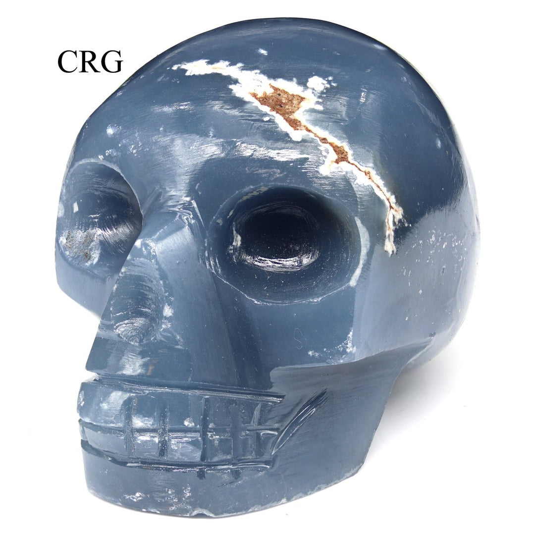 Angelite Skull (1 Piece) Size 45 to 55 mm Crystal Gemstone Carving