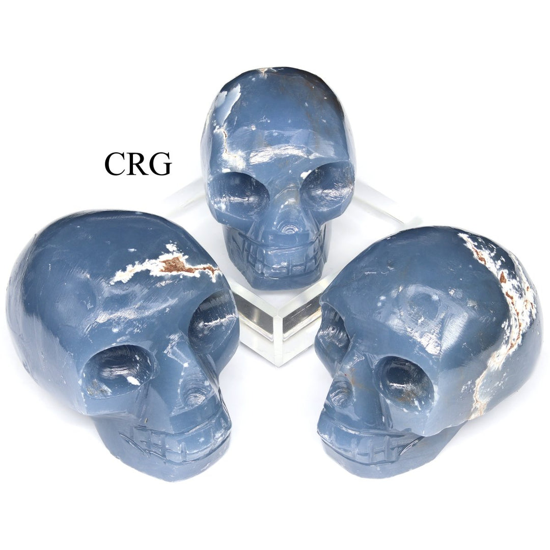 Angelite Skull (1 Piece) Size 45 to 55 mm Crystal Gemstone Carving