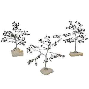 Black Tourmaline 100 Chip Tree with Cluster Base and Silver Wire (1 Piece) Size 6.5 Inches Crystal Gemstone Decor