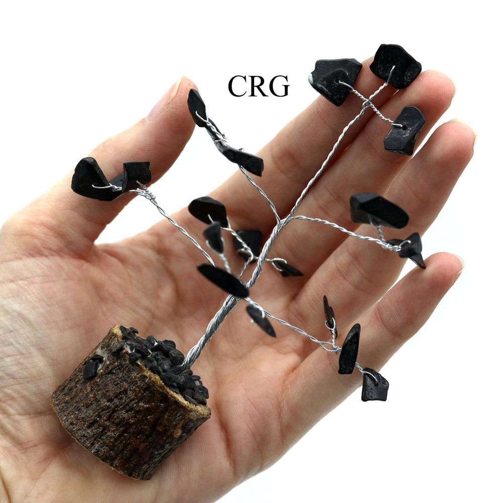 Black Tourmaline Silver-Wired Chip Tree on Wood Base (4 Pieces) Size 3 to 4 Inches Crystal Gemstone Decor