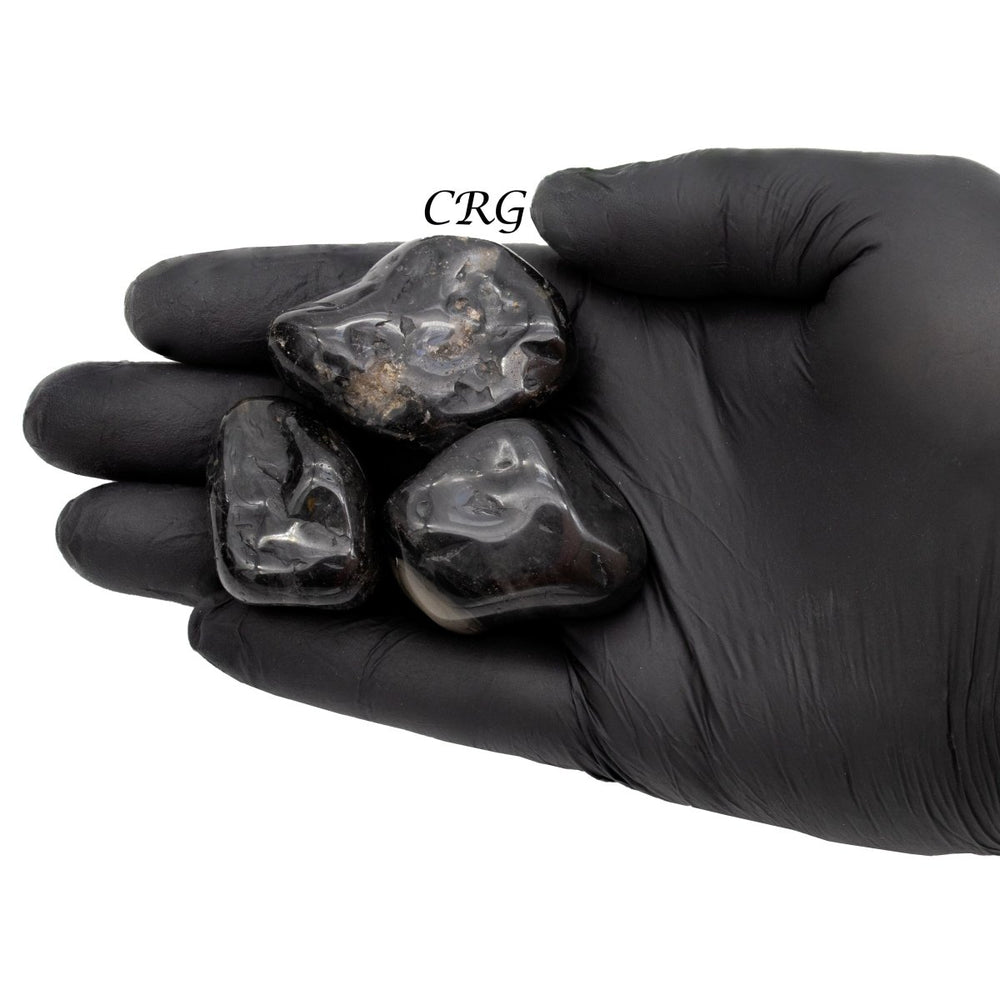 Black Tourmaline Tumbled (1 Pound) Size 1 to 2 Inches Bulk Wholesale Lot Crystal
