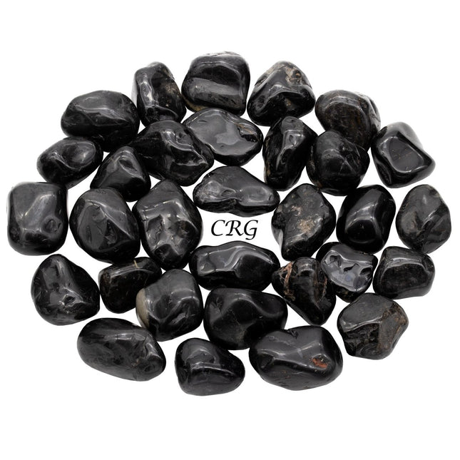 Black Tourmaline Tumbled (1 Pound) Size 1 to 2 Inches Bulk Wholesale Lot Crystal - Crystal River Gems
