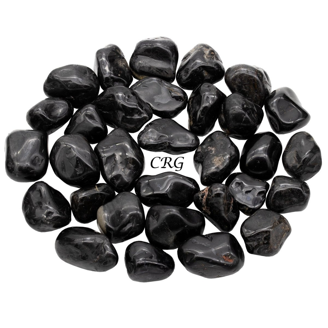 Black Tourmaline Tumbled (1 Pound) Size 1 to 2 Inches Bulk Wholesale Lot CrystalCrystal River Gems