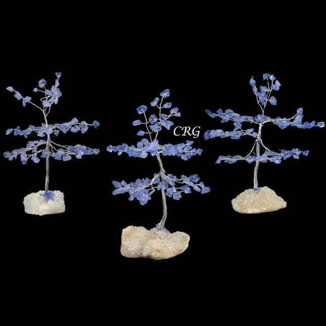 Blue Sapphire 100 Chip Tree with Cluster Base and Silver Wire (1 Piece) Size 6 Inches Gemstone Tree - Crystal River Gems