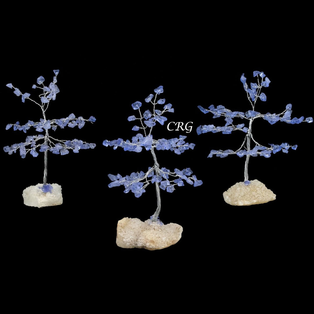 Blue Sapphire 100 Chip Tree with Cluster Base and Silver Wire (1 Piece) Size 6 Inches Gemstone Tree