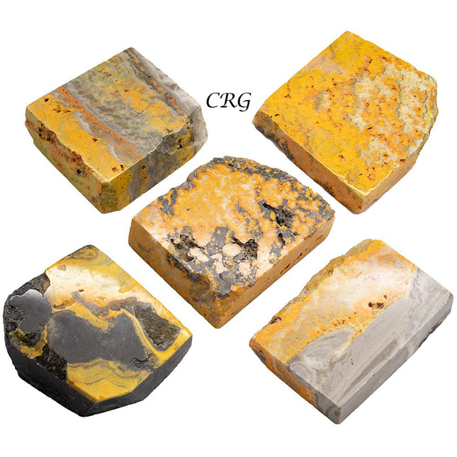 Bumblebee Jasper Polished Slabs (1 Kilogram) Size 2 to 4 Inches Bulk Wholesale Lot Crystals - Crystal River Gems