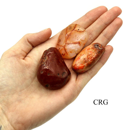 Carnelian Agate Tumbled (8 Ounces) Size 20 to 50 mm Wholesale Crystals Minerals from Brazil - Crystal River Gems