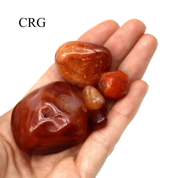 Carnelian Tumbled Pieces (Size 0.25 to 1.5 Inches) Crystals Minerals Gemstones