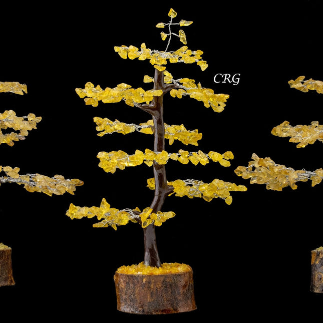 Citrine 300 Chip Tree with Wood Base and Silver Wire (1 Piece) Size 9 Inches Crystal Gemstone Tree - Crystal River Gems
