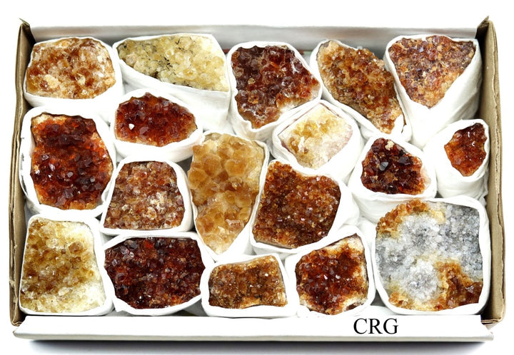 Citrine Druzy Multicolored Small Flat (1 Flat) Size 1 to 2.5 Inches Bulk Wholesale Lot Crystal Minerals