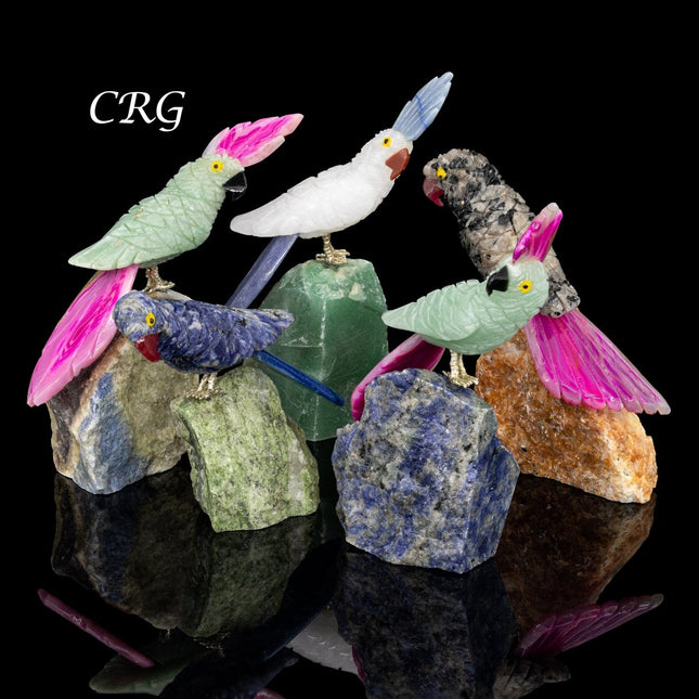 Crystal Bird on Removable Rough Rock Base (1 Piece) Size 4.5 Inches Gemstone Bird Carving - Crystal River Gems