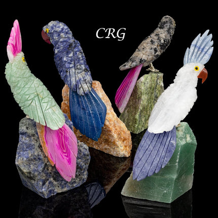 Crystal Bird on Removable Rough Rock Base (1 Piece) Size 4.5 Inches Gemstone Bird Carving