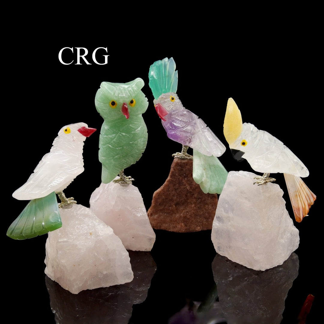 Crystal Bird on Removeable Rough Rock Base (1 Piece) Size 3 to 4