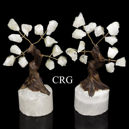 Crystal Quartz Rough Chip Tree with Round Polished Base (2 Pieces) Size 3.5 to 4 Inches Gemstone Decor