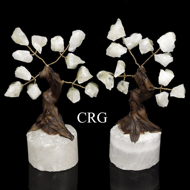 Crystal Quartz Rough Chip Tree with Round Polished Base (2 Pieces) Size 3.5 to 4 Inches Gemstone Decor - Crystal River Gems