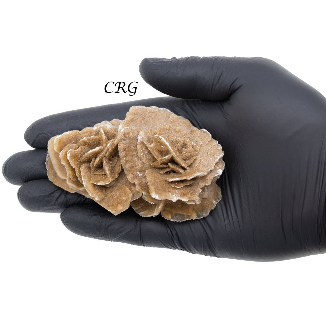 Desert Rose (1 Pound) Size 3.5 Inches Crystal Gemstone Specimen