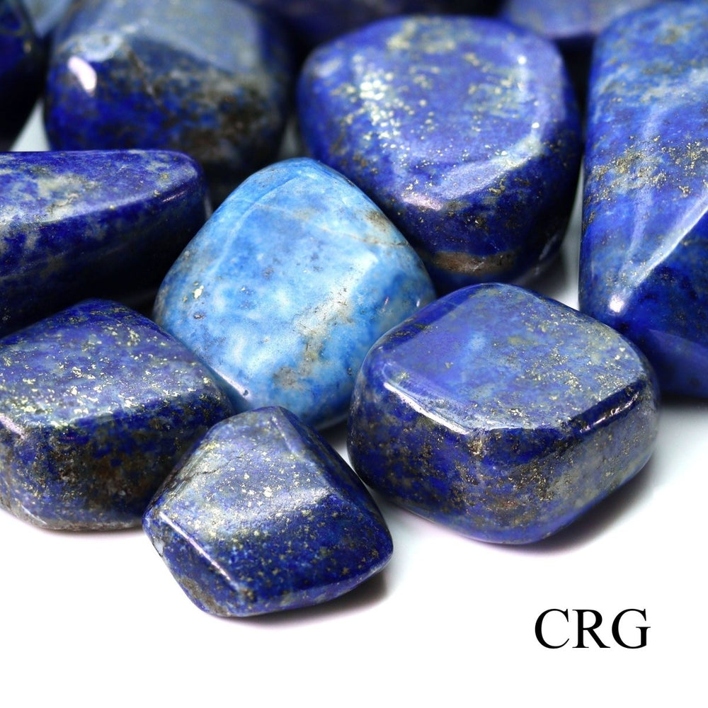 Extra Quality Lapis Lazuli Tumbled Pieces (Size 1 to 2 inches) Bulk Wholesale Lot Crystals Minerals