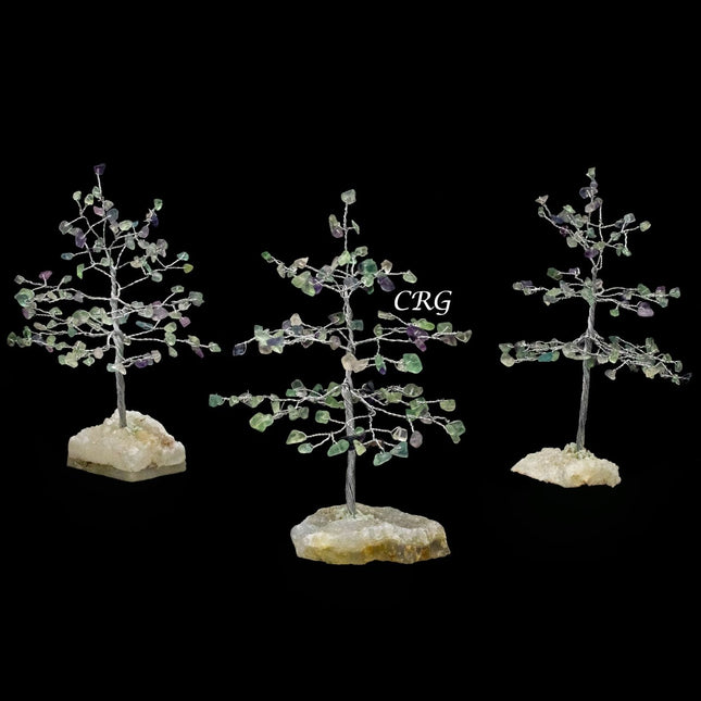 Fluorite 100 Chip Tree with Cluster Base and Silver Wire (1 Piece) Size 6 Inches Gemstone Tree - Crystal River Gems