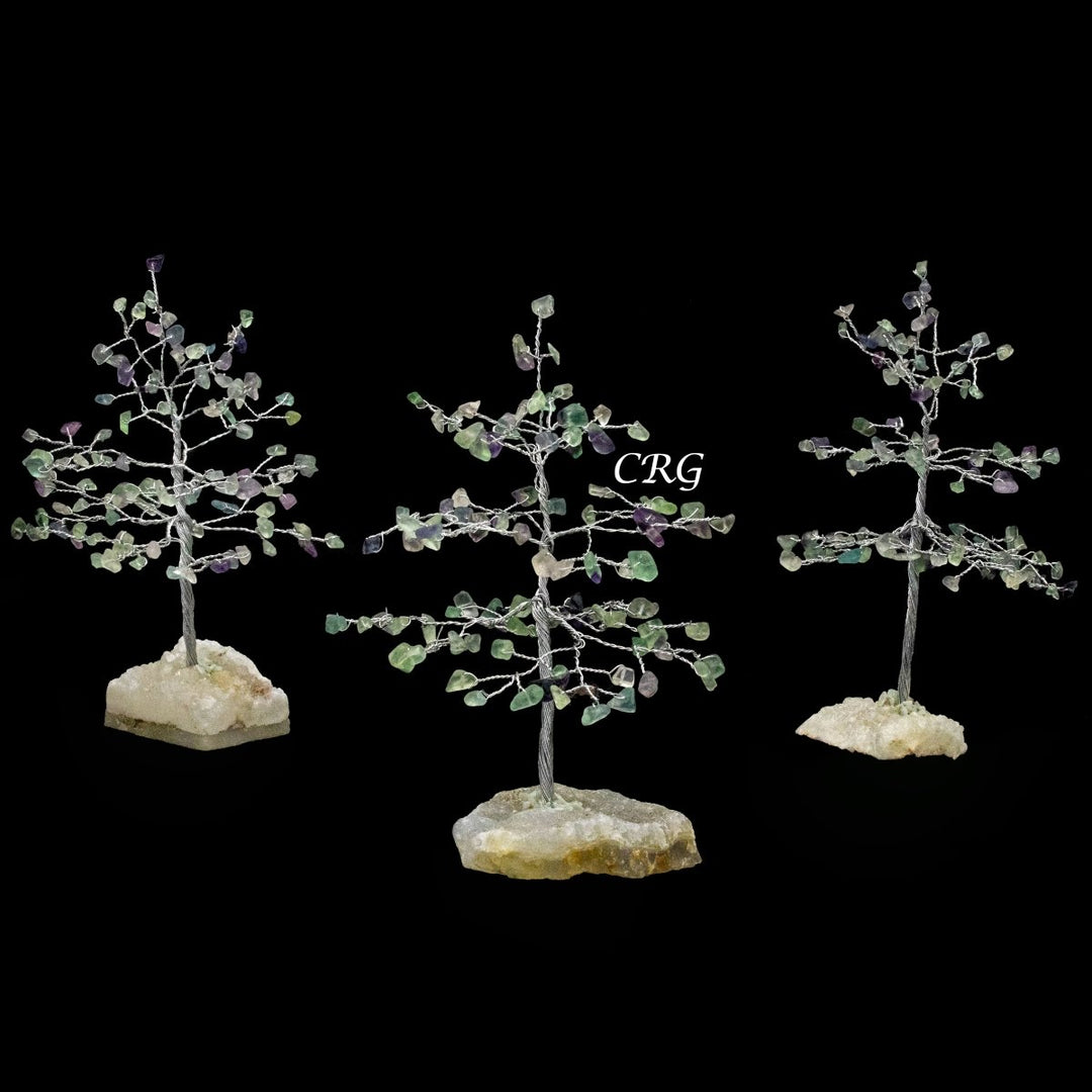 Fluorite 100 Chip Tree with Cluster Base and Silver Wire (1 Piece) Size 6 Inches Gemstone Tree