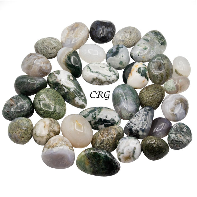 Green Moss Agate Tumbled Gemstones - 20-40 mm - 1 LB. LOT - Crystal River Gems
