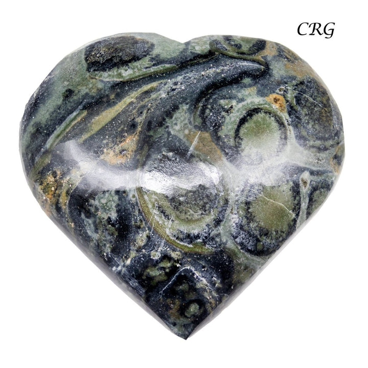 Kambaba Jasper Puffy Heart (1 - 1.5 in) Polished Gemstone Heart (1 pc)Crystal River Gems