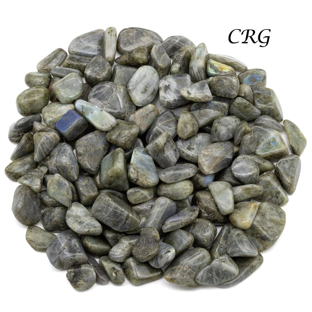 Labradorite Tumbled Gemstones from Madagascar - 1" - 2" - 1 LB. LOTCrystal River Gems
