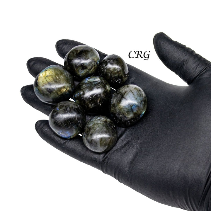 Labradorite Tumbled Stones - High Flash - 1 LB LOT