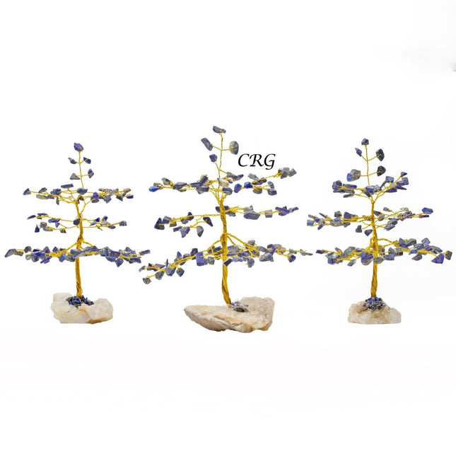 Lapis Lazuli 100 Chip Tree with Cluster Base and Gold Wire (1 Piece) Size 6 Inches Crystal Gemstone Tree - Crystal River Gems