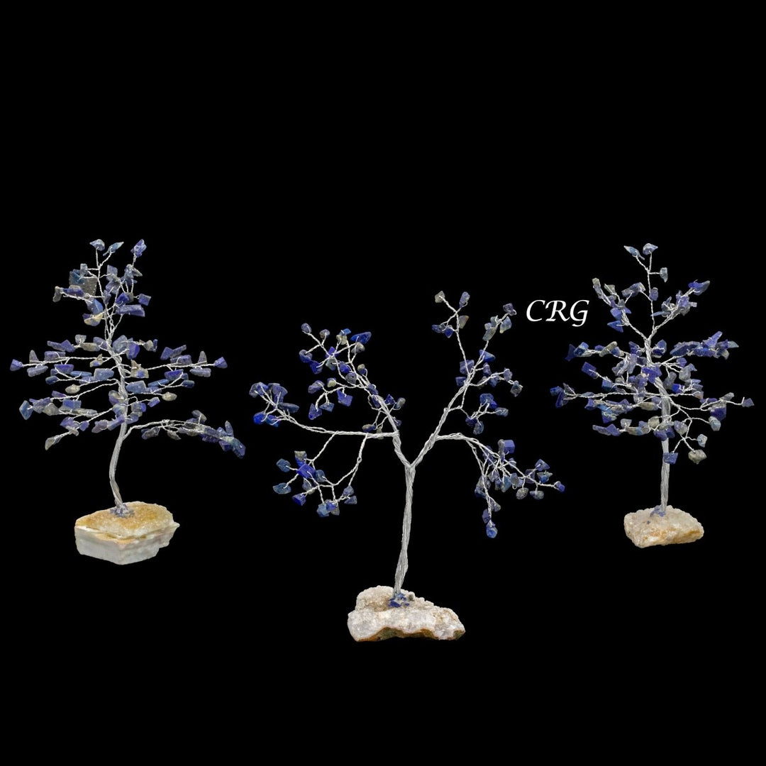 Lapis Lazuli 100 Chip Tree with Cluster Base and Silver Wire (1 Piece) Size 6 Inches Crystal Gemstone Tree