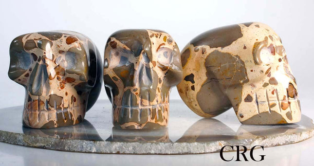Large Peru Leopardite Skull 75mm - Crystal River Gems