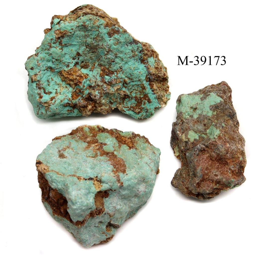 M-39173 - Stabilized Mexican Turquoise / 3.3 oz. - Crystal River Gems