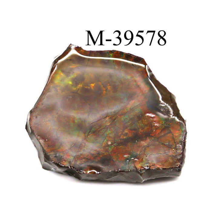M - 39578 Polished Fire Ammolite From CanadaCrystal River Gems