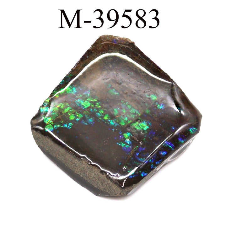M - 39583 Polished Fire Ammolite From CanadaCrystal River Gems