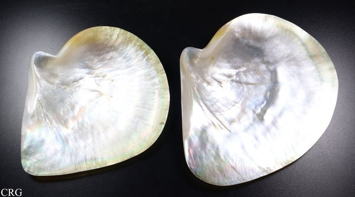 Mother of Pearl Shell Dish (1 Piece) Size 5.5 to 6 Inches Polished Nacre ShellCrystal River Gems