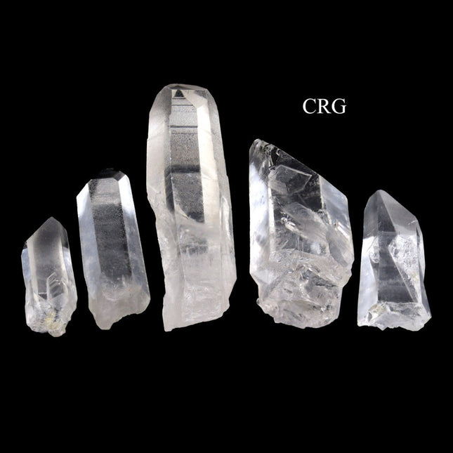Natural Crystal Quartz Laser Points / A Grade / 0.5-2.5" AVG - 1 KILO LOT - Crystal River Gems