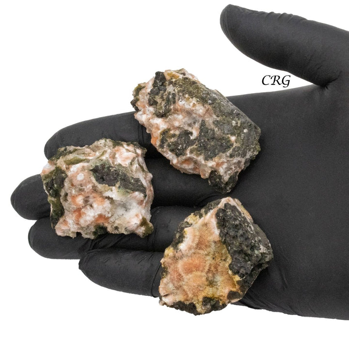 Orange Thomsonite (1 Piece) Size 1.5 Inches Crystal Gemstone Mineral