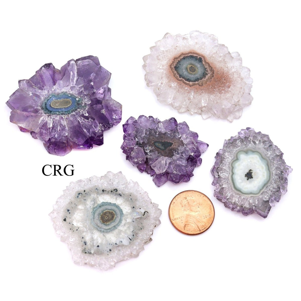 QTY 1 - Amethyst Stalactite / 26 - 50 MM AVGCrystal River Gems