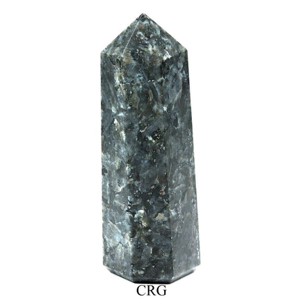 QTY 1 - Black Labradorite/Larvikite Point / 3-5" AVG - Crystal River Gems
