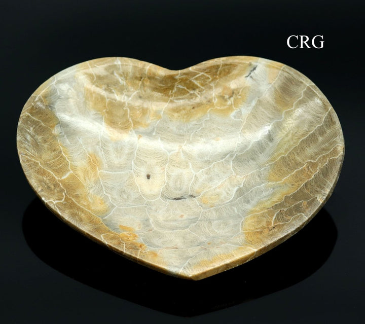 QTY 1 - Fossilized Coral Heart Dish / 12 - 17cm AVGCrystal River Gems