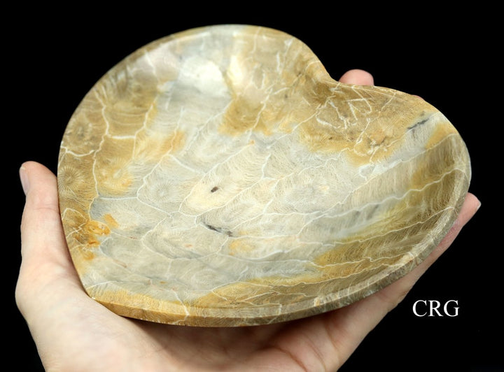 QTY 1 - Fossilized Coral Heart Dish / 12 - 17cm AVGCrystal River Gems