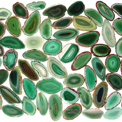 QTY 1 - Green Agate Slice / 1-1.5"/ #000 - Crystal River Gems