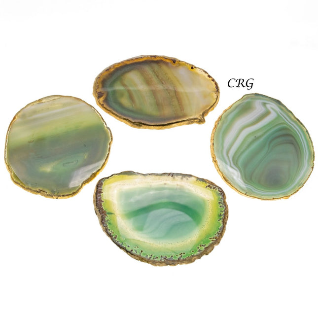 QTY 1 - Green Gold Plated Agate Slice / #4 / 4-4.5"