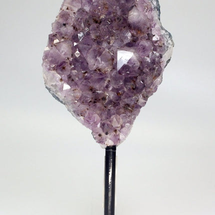 QTY 1 - Natural Rough Amethyst Druzy on Metal Stand / 7"-10" avg. - Crystal River Gems