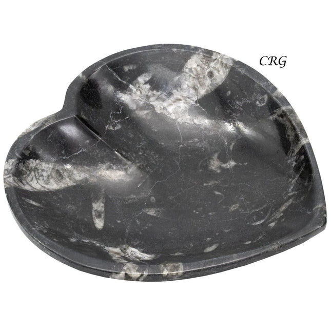 Qty 1 - Orthoceras Fossil Heart Bowl 10cm - Crystal River Gems
