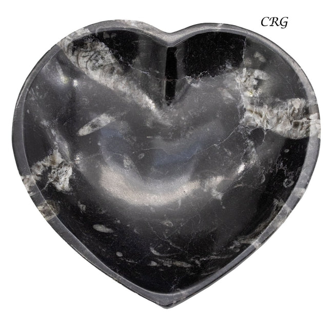 Qty 1 - Orthoceras Fossil Heart Bowl 10cm - Crystal River Gems