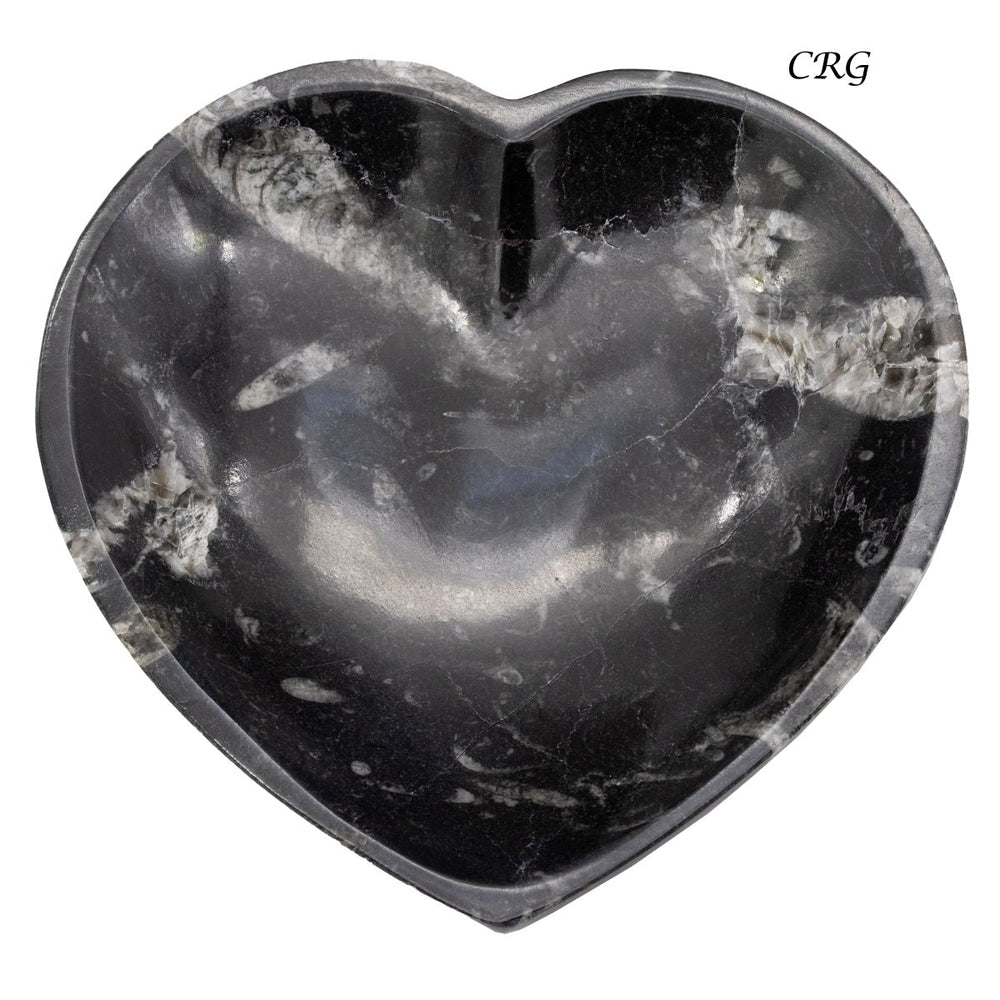Qty 1 - Orthoceras Fossil Heart Bowl 10cm