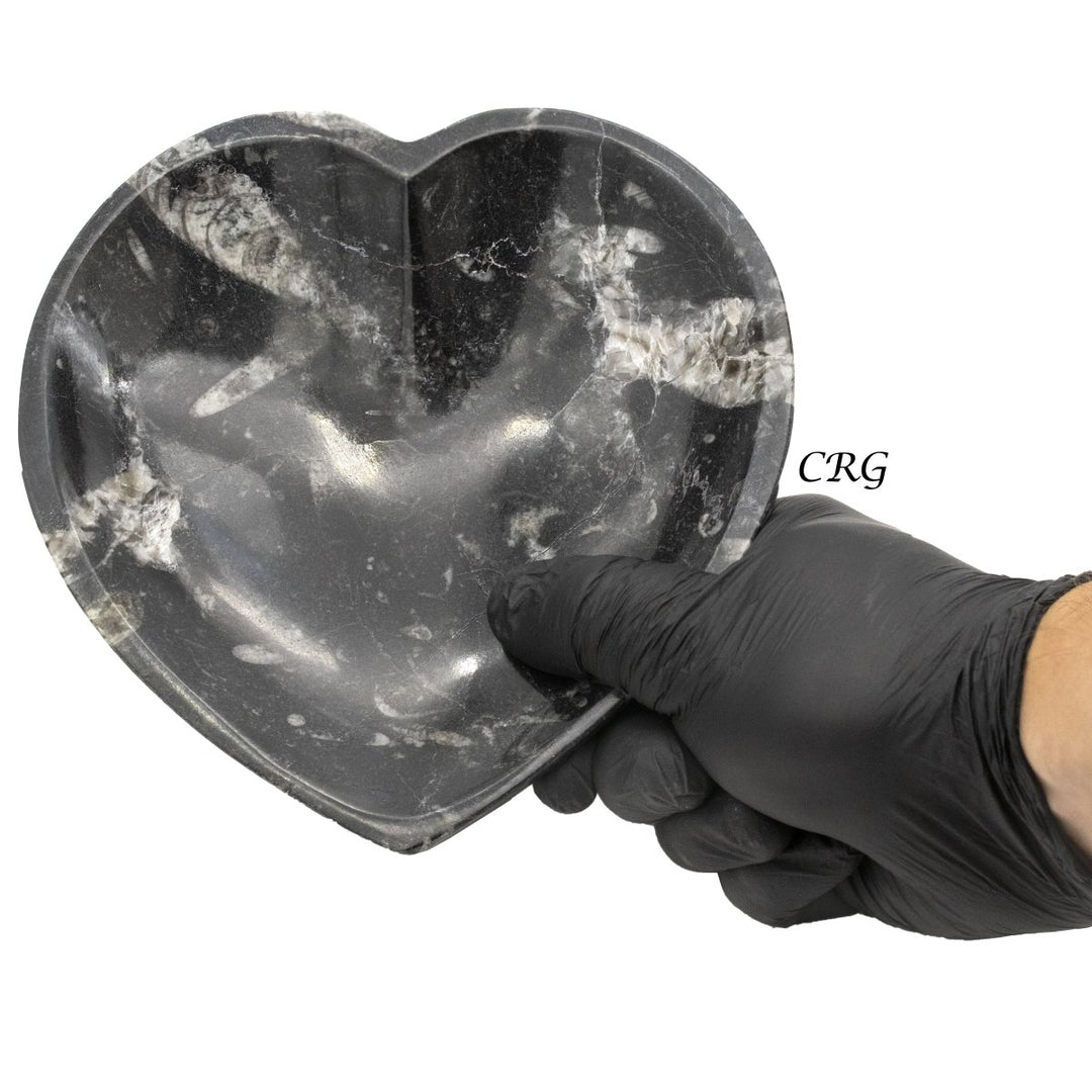 Qty 1 - Orthoceras Fossil Heart Bowl 15cm