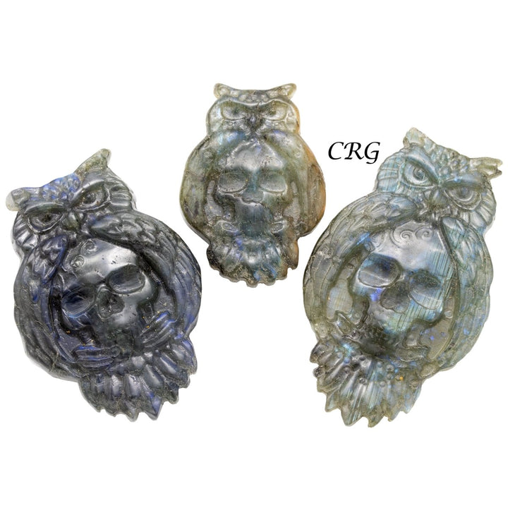 Qty 1 - Owl & Skull Labradorite Super Flash CarvingCrystal River Gems